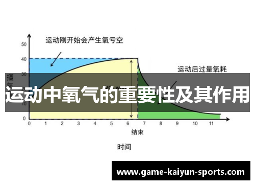 运动中氧气的重要性及其作用